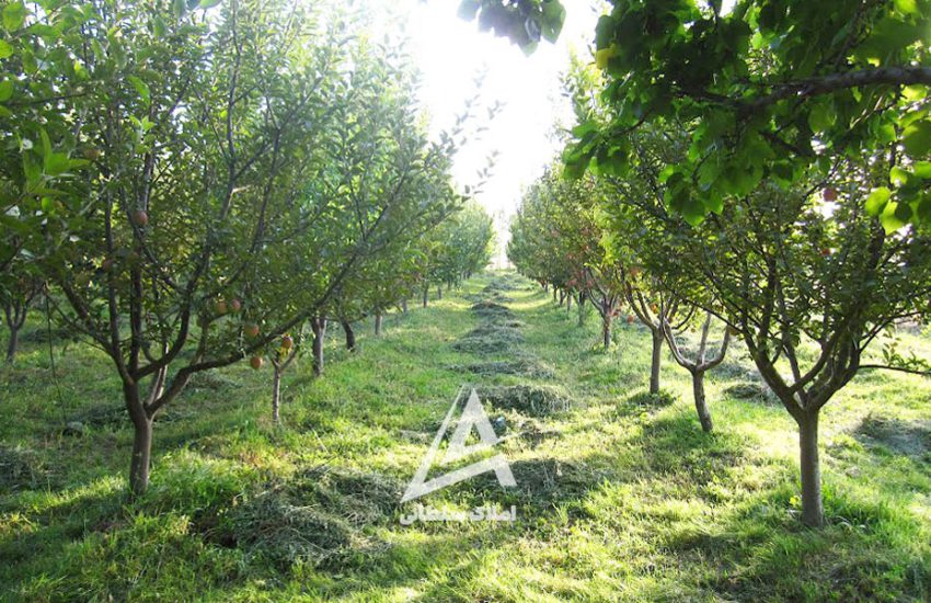 باغ زیبای جهانشهر